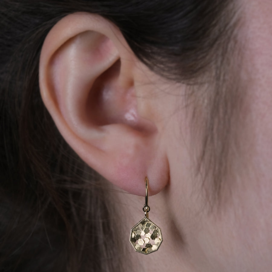 10mm chaos hex koin drop earrings