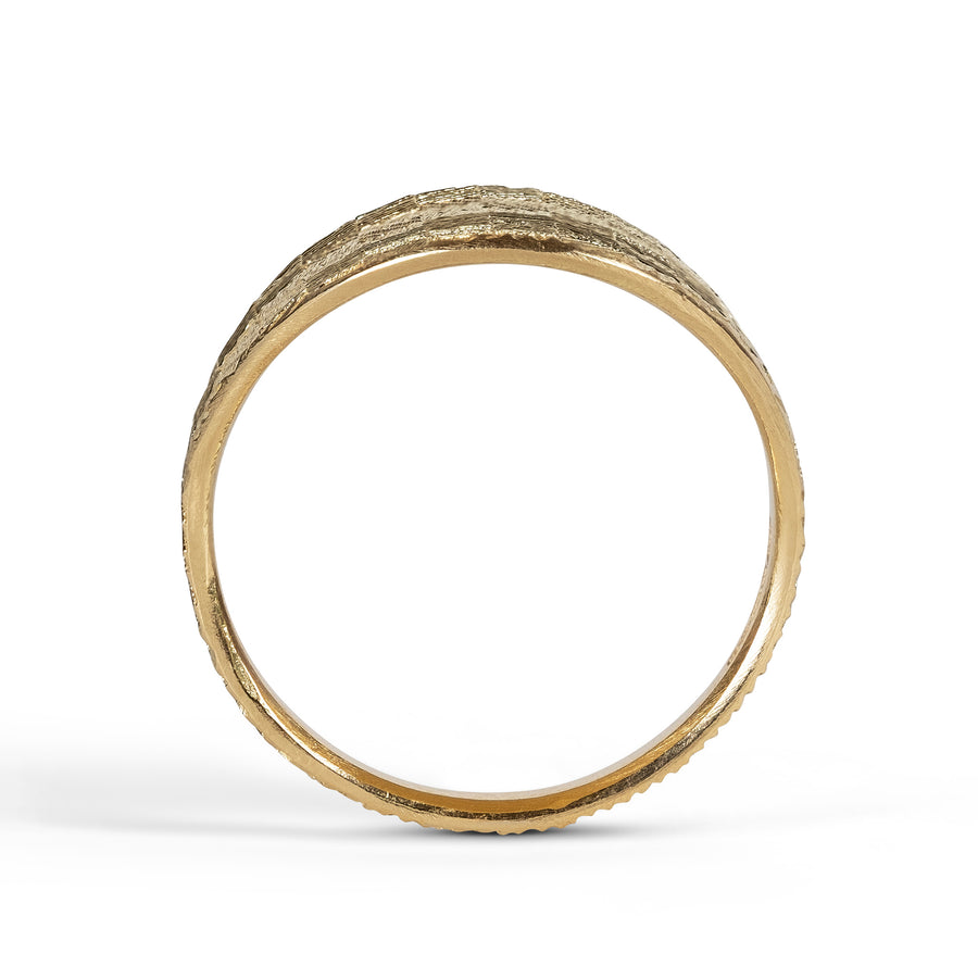Medium Contour Shield ring